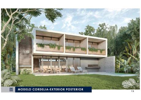 Dom na sprzedaż - Carretera Tulum - Cancún Solidaridad, Meksyk, 328 m², 580 051 USD (2 372 408 PLN), NET-96686190