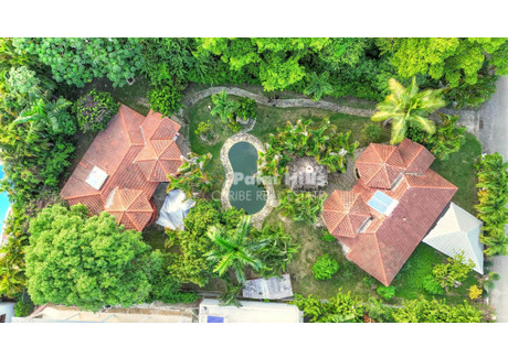 Komercyjne na sprzedaż - Calle Paseo del Parque 108, Cabarete 57000, Dominican Republic Cabarete (D. M.)., Dominikana, 260 m², 330 000 USD (1 349 700 PLN), NET-102158831