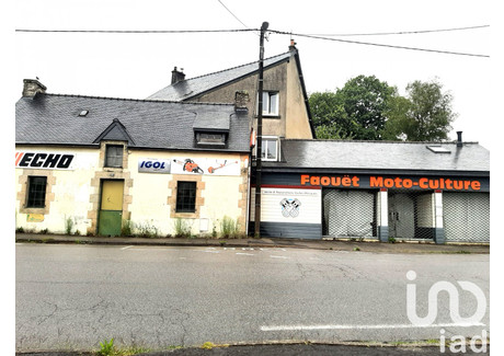 Dom na sprzedaż - Le Faouet, Francja, 200 m², 147 193 USD (602 020 PLN), NET-99952208