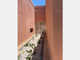 Dom na sprzedaż - Route de Tahanaout Marrakech, Maroko, 944 m², 668 166 USD (2 632 574 PLN), NET-91461417