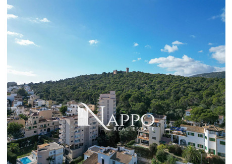 Mieszkanie na sprzedaż - Baleares, Palma De Mallorca, Hiszpania, 364 m², 2 691 392 USD (11 169 275 PLN), NET-96919236