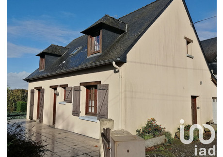 Dom na sprzedaż - Andouille, Francja, 96 m², 175 583 USD (719 890 PLN), NET-102370083