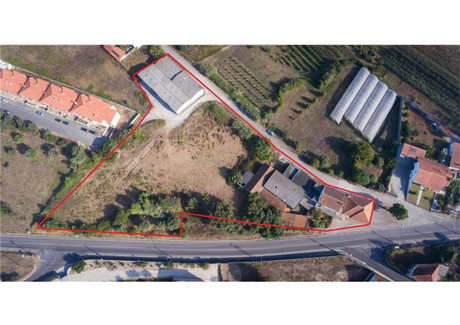 Komercyjne na sprzedaż - Leiria, Alcobaça, Aljubarrota, Portugalia, 5123 m², 1 669 079 USD (6 392 574 PLN), NET-94544296