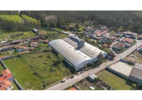 Magazyn na sprzedaż - Leiria, Marinha Grande, Marinha Grande, Portugalia, 4000 m², 734 065 USD (2 811 469 PLN), NET-96808513