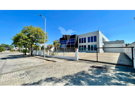 Magazyn na sprzedaż - Seixal, Arrentela e Aldeia de Paio Pires Seixal, Portugalia, 900 m², 1 956 432 USD (7 962 678 PLN), NET-100642606