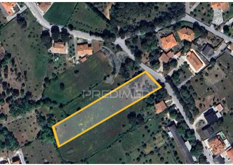 Działka na sprzedaż - Fátima Ourém, Portugalia, 4012,19 m², 130 686 USD (546 268 PLN), NET-96153668