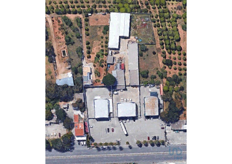 Lokal handlowy na sprzedaż - Cerro De Cabeça De Câmara, Portugalia, 300 m², 2 816 697 USD (11 097 786 PLN), NET-92600090
