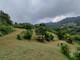 Dom na sprzedaż - Dapa, Yumbo, Valle del Cauca, Colombia Yumbo, Kolumbia, 100 m², 130 709 USD (512 381 PLN), NET-98482378