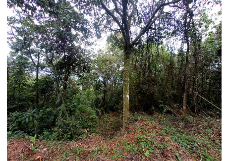 Działka na sprzedaż - Calle del Viento, Dapa, Yumbo, Valle del Cauca, Colombia Yumbo, Kolumbia, 23 928 m², 357 009 USD (1 481 586 PLN), NET-98482317