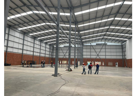 Lokal handlowy do wynajęcia - Caucaseco, Palmira, Valle del Cauca, Colombia Cali, Kolumbia, 1000 m², 2672 USD (10 954 PLN), NET-101983950