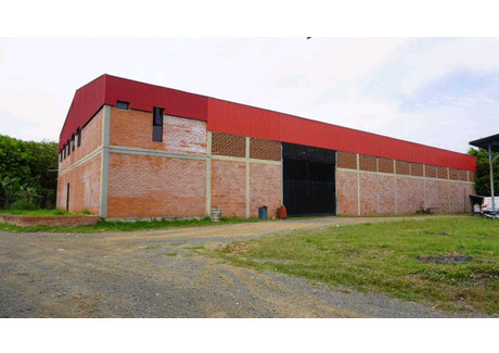 Lokal handlowy na sprzedaż - Sector La Nubia, Candelaria, Valle del Cauca, Colombia Candelaria, Kolumbia, 1000 m², 316 496 USD (1 297 635 PLN), NET-102376240