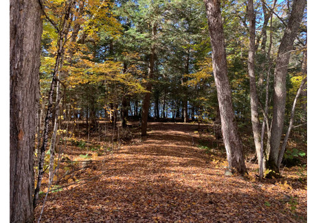 Działka na sprzedaż - Ch. de la Presqu'île, Saint-Aimé-du-Lac-des-Îles, QC J0W1J0, CA Saint-Aimé-Du-Lac-Des-Îles, Kanada, 21 112 m², 506 787 USD (2 037 285 PLN), NET-101478030