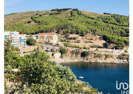 Mieszkanie na sprzedaż - Banyuls-Sur-Mer, Francja, 36 m², 126 618 USD (517 866 PLN), NET-100320389