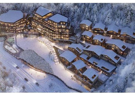 Dom na sprzedaż - Tignes, Francja, 262 m², 4 106 681 USD (17 165 925 PLN), NET-95143298