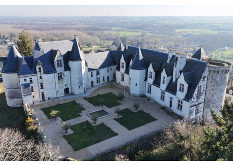 Dom na sprzedaż - Buzancais, Francja, 1000 m², 5 187 573 USD (21 217 174 PLN), NET-102283605