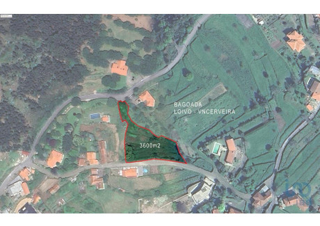 Działka na sprzedaż - Loivo, Portugalia, 3600 m², 59 898 USD (234 800 PLN), NET-96999299