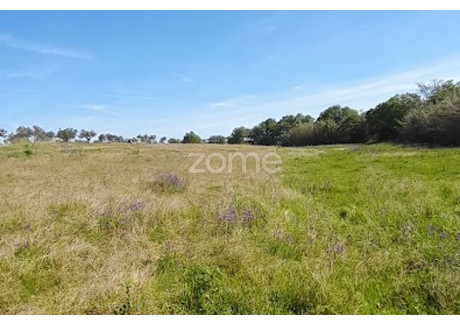 Działka na sprzedaż - Campo Maior, Portugalia, 10 000 m², 26 244 USD (100 777 PLN), NET-96539473