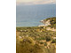 Dom na sprzedaż - Marathon, Grecja, 10 000 m², 2 680 867 USD (10 803 896 PLN), NET-95877090