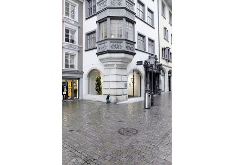 Lokal handlowy do wynajęcia - Schaffhausen, Szwajcaria, 300 m², 7388 USD (30 068 PLN), NET-102755141