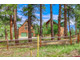 Dom na sprzedaż - 700 Echo Canyon Ranch Lane Pagosa Springs, Usa, 340,12 m², 1 750 000 USD (7 262 500 PLN), NET-100121610