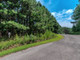 Działka na sprzedaż - Lot 26 Foxpaw Leaf Lane Ellijay, Usa, 26 506,91 m², 129 900 USD (528 693 PLN), NET-100031693