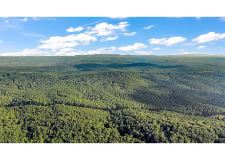 Działka na sprzedaż - lot 6 Mission Hill Ellijay, Usa, 5058,57 m², 22 000 USD (88 440 PLN), NET-100121579