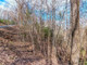 Działka na sprzedaż - Lot 43 Dusty Danno Trail Mineral Bluff, Usa, 6839,19 m², 51 000 USD (207 570 PLN), NET-98074586