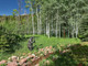 Dom na sprzedaż - 303 CONUNDRUM CREEK Road Aspen, Usa, 650,32 m², 100 000 USD (407 000 PLN), NET-98623729