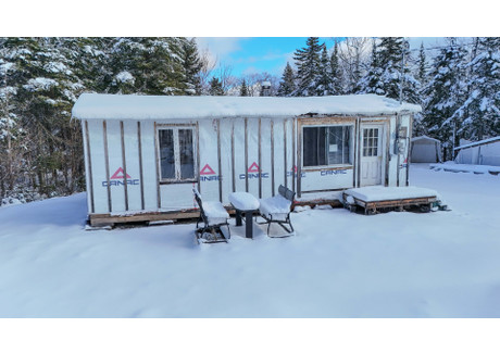 Dom na sprzedaż - 84 Ch. de la Perdrix, Notre-Dame-des-Bois, QC J0B2E0, CA Notre-Dame-Des-Bois, Kanada, 50 m², 66 179 USD (269 350 PLN), NET-100545351