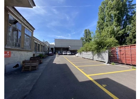 Magazyn do wynajęcia - Carouge, Szwajcaria, 2500 m², 147 USD (597 PLN), NET-99484973