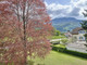 Mieszkanie na sprzedaż - Sion, Szwajcaria, 105,4 m², 528 670 USD (2 130 539 PLN), NET-98013985