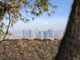 Dom na sprzedaż - 2401 Crest View Los Angeles, Usa, 249 m², 3 700 000 USD (15 059 000 PLN), NET-99377484