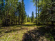 Działka na sprzedaż - NNA Timber Ridge Trail Clark Fork, Usa, 80 936 m², 279 000 USD (1 143 900 PLN), NET-100153121