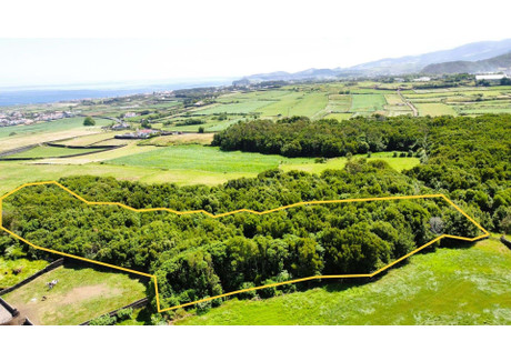 Działka na sprzedaż - Ilha De São Miguel, Pico Da Pedra, Portugalia, 8560 m², 72 876 USD (298 063 PLN), NET-98812041