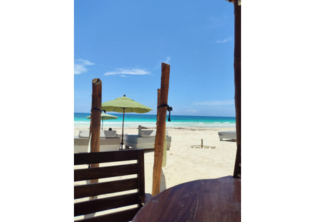 Hotel na sprzedaż - Tulum Beach Quintana Roo, Meksyk, 12 000 m², 3 000 000 USD (12 270 000 PLN), NET-101803801