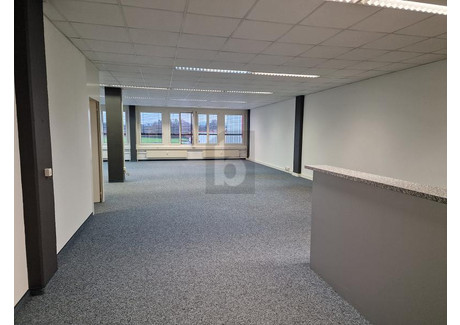 Biuro do wynajęcia - Rotkreuz, Szwajcaria, 220 m², 3425 USD (14 044 PLN), NET-102944193