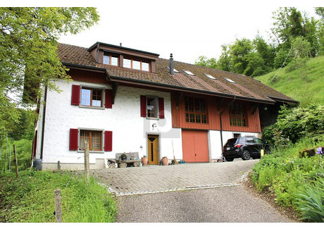 Dom na sprzedaż - Lausen, Szwajcaria, 300 m², 2 054 742 USD (8 157 324 PLN), NET-101188624