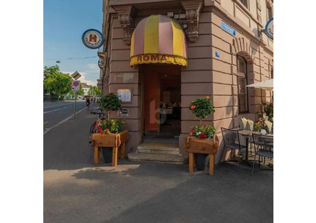 Lokal gastronomiczny do wynajęcia - Basel, Szwajcaria, 100 m², 7598 USD (31 077 PLN), NET-101854807