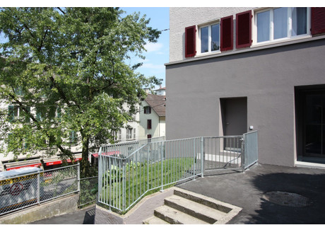 Mieszkanie do wynajęcia - Baselstrasse Luzern, Szwajcaria, 18 m², 1255 USD (5046 PLN), NET-101225920