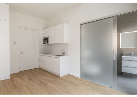 Mieszkanie do wynajęcia - Dienerstrasse Zurich, Szwajcaria, 21 m², 2066 USD (8408 PLN), NET-102956034