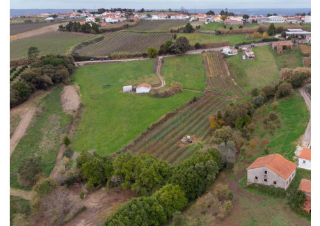 Działka na sprzedaż - Alcobaça E Vestiaria, Portugalia, 19 462 m², 91 107 USD (372 629 PLN), NET-101997781