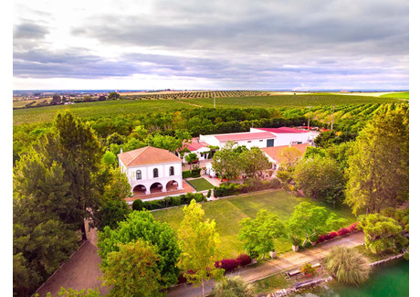 Dom na sprzedaż - Ferreira Do Alentejo, Portugalia, 2300 m², 3 281 048 USD (12 697 655 PLN), NET-99812624