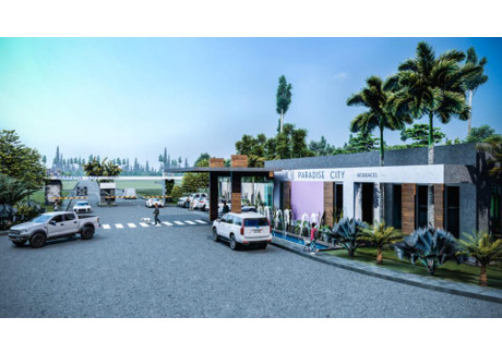 Działka na sprzedaż - 23000 Carr. Aeropuerto Punta Cana, Dominikana, 240 m², 9 450 000 USD (36 193 500 PLN), NET-99867246