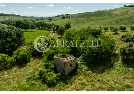 Dom na sprzedaż - Strada dei Colli Montefollonico, Włochy, 350 m², 285 179 USD (1 160 677 PLN), NET-100641926