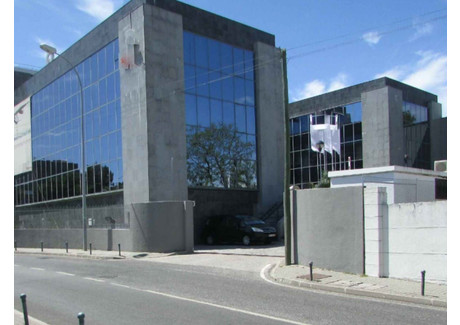 Biuro do wynajęcia - Oeiras, Portugalia, 130 m², 3285 USD (13 468 PLN), NET-100655329