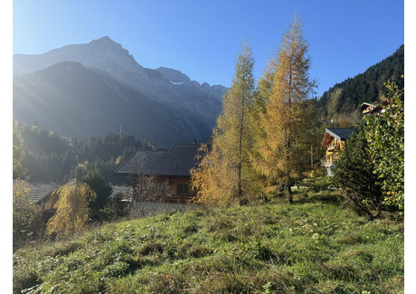 Działka na sprzedaż - Champéry Szwajcaria, 1440 m², 817 097 USD (3 325 583 PLN), NET-101871510