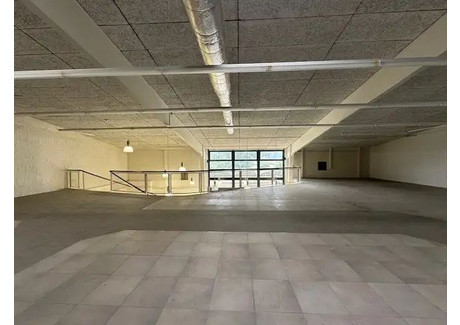 Lokal handlowy do wynajęcia - Rütiweg Pratteln, Szwajcaria, 500 m², 7694 USD (31 544 PLN), NET-101184358