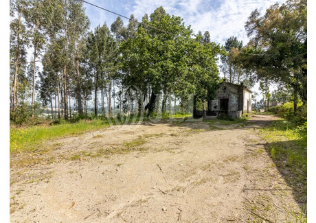 Działka na sprzedaż - Avidos E Lagoa, Portugalia, 147 000 m², 1 304 702 USD (5 114 433 PLN), NET-84624732