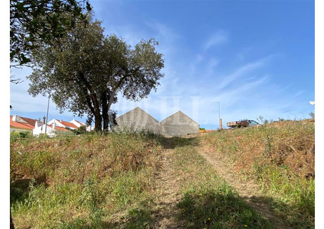 Działka na sprzedaż - São Francisco Da Serra, Portugalia, 33 875 m², 326 716 USD (1 280 725 PLN), NET-87913686