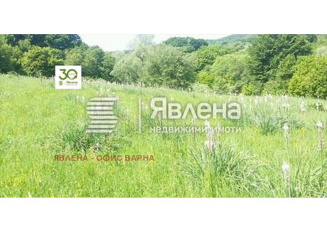 Działka na sprzedaż - с. Сушина/s. Sushina Шумен/shumen, Bułgaria, 53 000 m², 283 777 USD (1 160 648 PLN), NET-101912741